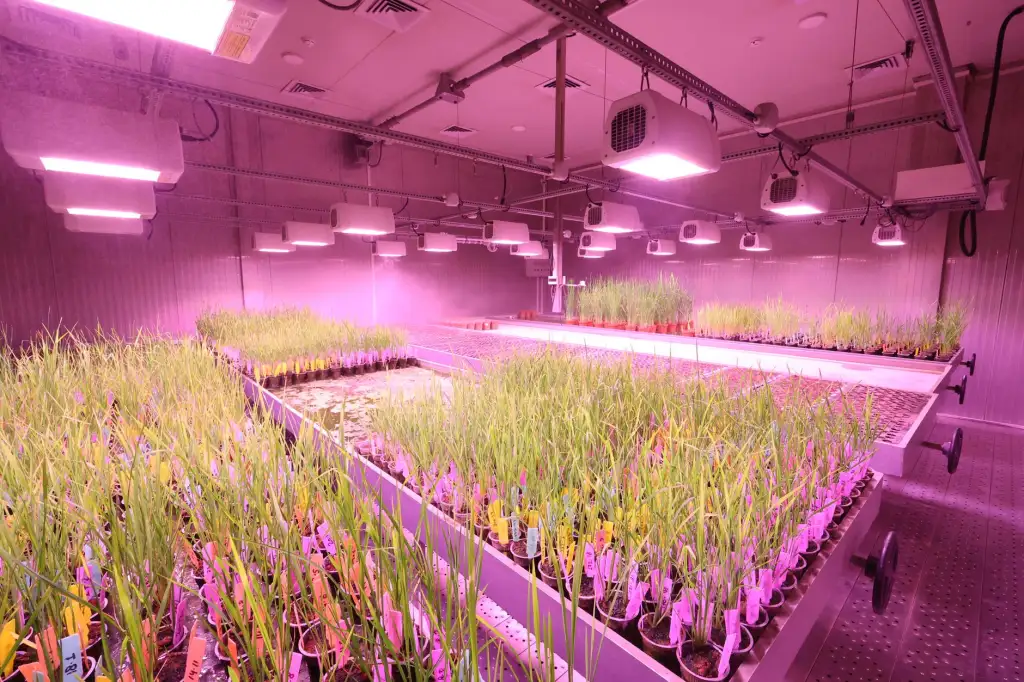 网线水晶头选型指南:三类常见接口的性能对比与适用场景